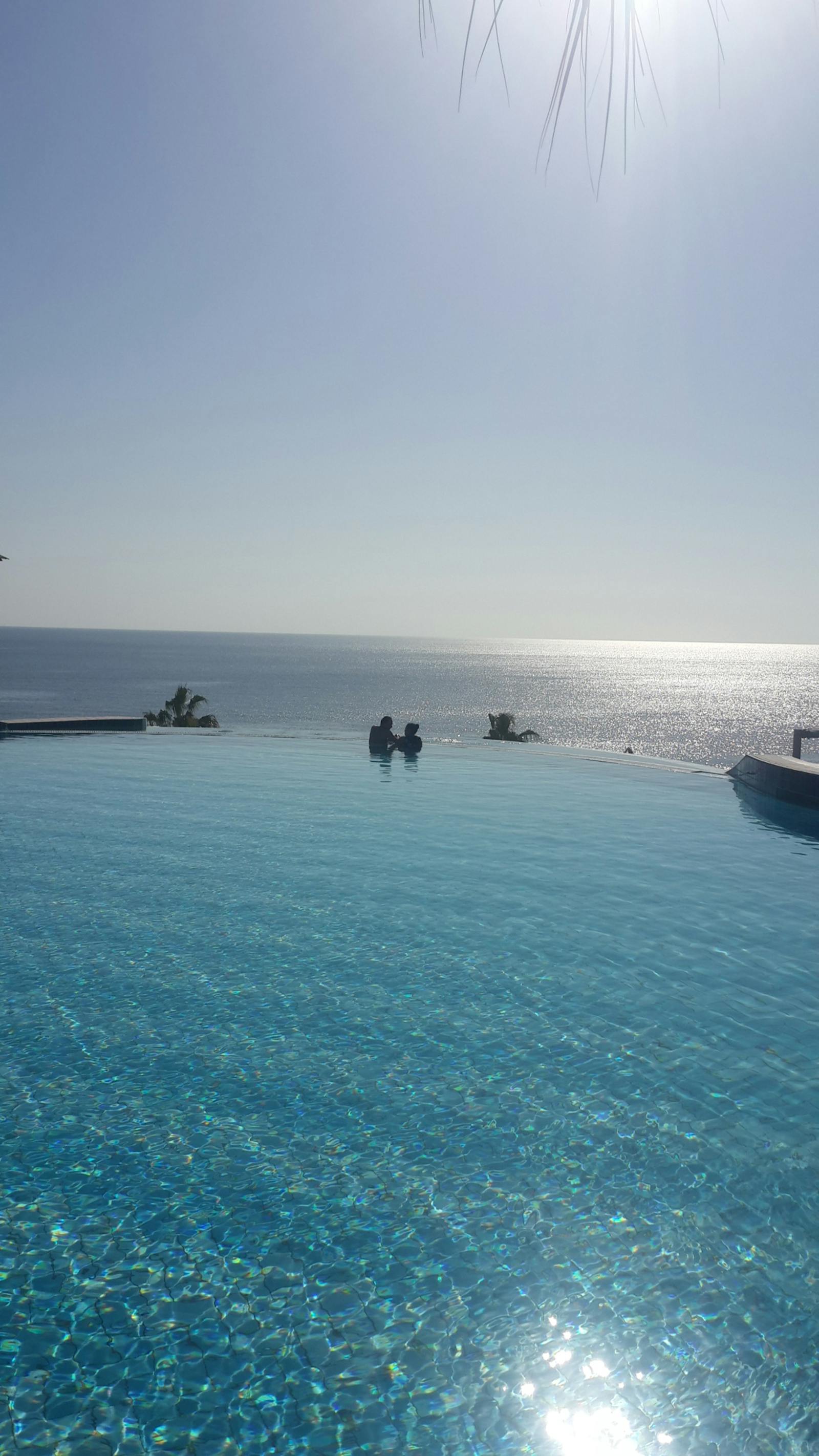 Brevant Pool WETYR Pools | Luxury Pool Design, Ponds & Waterscapes in Brevard County, FL